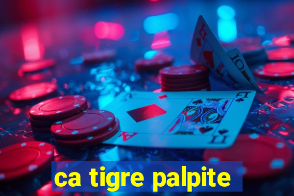 ca tigre palpite